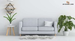 Top 6 loại cây thu hút tài lộc trong nhà