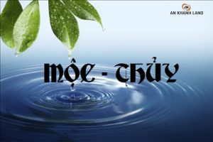 Mộc và thủy có hợp nhau không