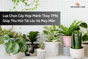 Lựa Chọn Cây Hợp Mệnh Thủy 1996 Giúp Thu Hút Tài Lộc Và May Mắn 9 Cây Hợp Mệnh Thủy 1996: Lựa Chọn Phong Thủy Giúp Thu Hút Tài Lộc Và May Mắn