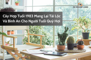Cây Hợp Tuổi 1983 Mang Lại Tài Lộc Và Bình An Cho Gia Chủ 8 Cây hợp tuổi 1983 giúp gia chủ Quý Hợi thu hút tài lộc và may mắn