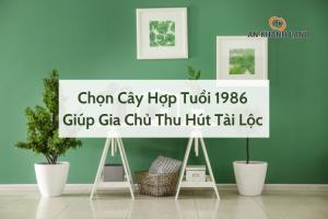 Chọn Cây Hợp Tuổi 1986 Giúp Gia Chủ Thu Hút Tài Lộc 6 Cây hợp tuổi 1986 giúp gia chủ thu hút tài lọc