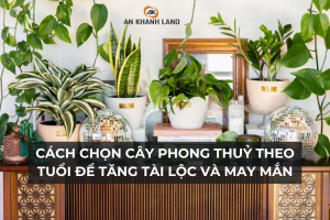Cách Chọn Cây Phong Thuỷ Theo Tuổi Để Tăng Tài Lộc Và May Mắn 4 Cách Chọn Cây Phong Thuỷ Theo Tuổi Để Tăng Tài Lộc Và May Mắn