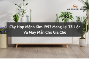 Cây Hợp Mệnh Kim 1993 Mang Lại Tài Lộc Và May Mắn Cho Gia Chủ 2 Cây hợp mệnh Kim 1993 mang lại tài lộc may mắn cho gia chủ