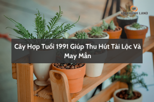 Cây hợp tuổi 1991