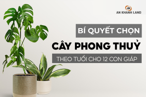 Bí Quyết Chọn Cây Phong Thủy 12 Con Giáp Mang Lại May Mắn